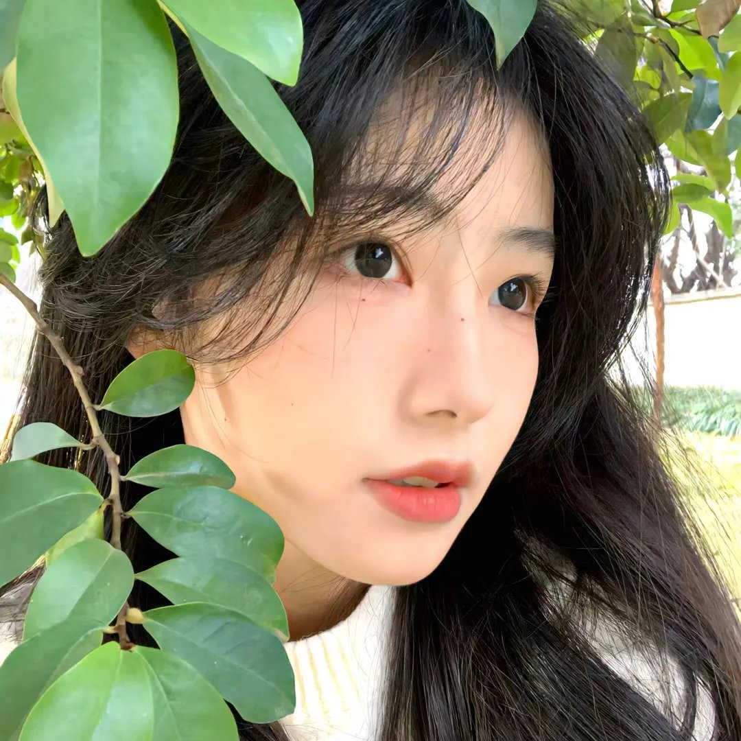 心之动力学